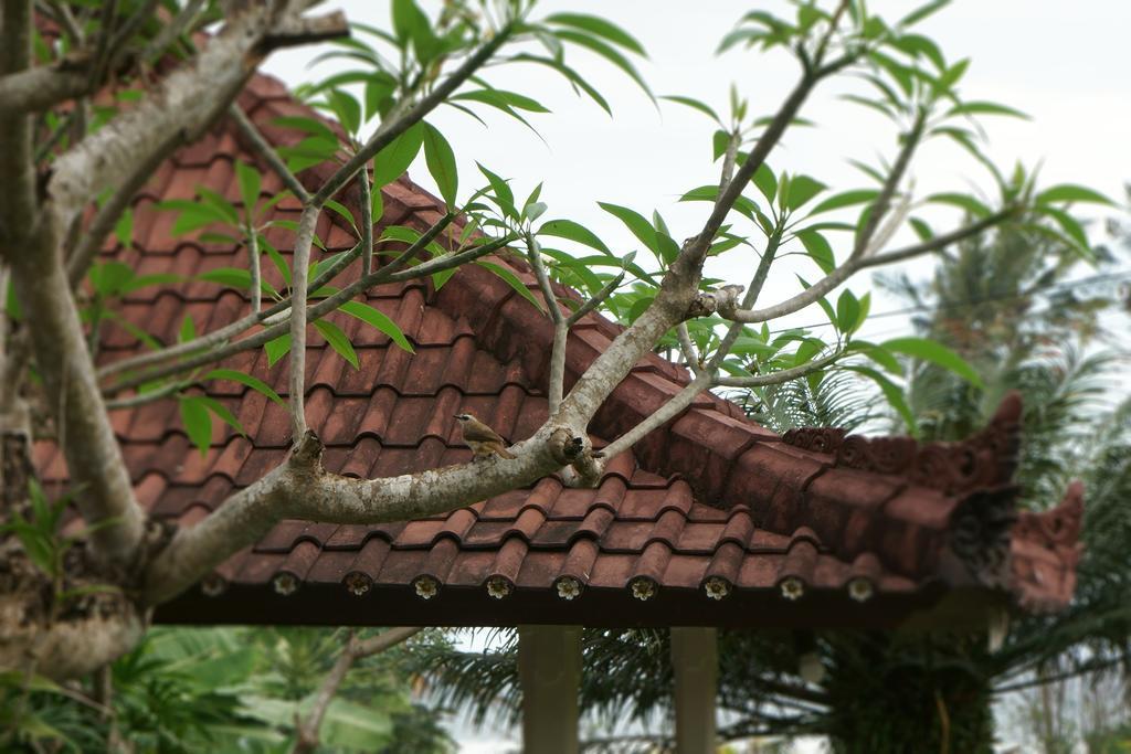 Apartamento Puri Angsa Saba Keramas Exterior foto
